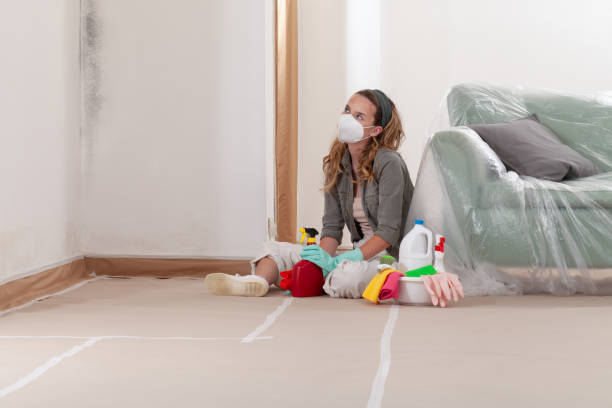 Reliable Mold Cleanup contractor in Fairfax, VA by Cheap Mold Removal